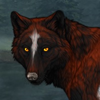 Wolf Headshot