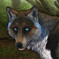 Gally Headshot