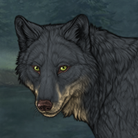 Wolf Headshot