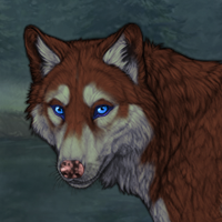 huskya Headshot