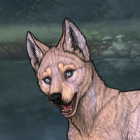 t2 arkose husky eyes Headshot