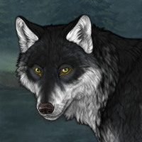 Wolf Headshot