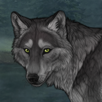 Obsidian Wraith Wolf Headshot