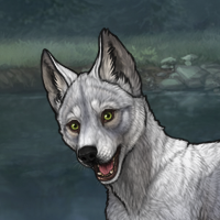 FrostPelt Headshot