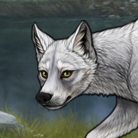 FrostPelt Headshot