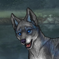 SilverPelt Headshot