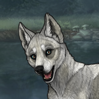 Novus eyes Headshot