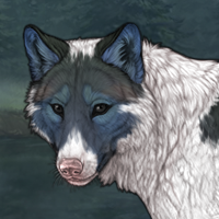 Piebald Headshot