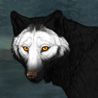 Wolf Headshot