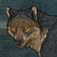 Wolf Headshot