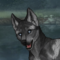 slate husky wo Headshot