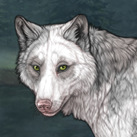 Piebald: Torn Headshot