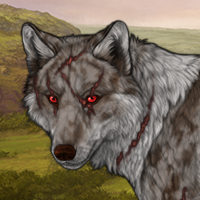 Wolf Headshot