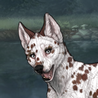 Dalmatian Headshot