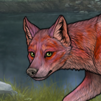 Ibis-fox-ox(Collie) Headshot