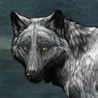 Wolf Headshot