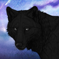 Black Male Wolf Headshot