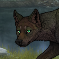 Fae Eyed Breeder Headshot