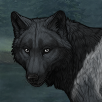 Wolf Headshot