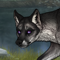 Coldpaw Headshot