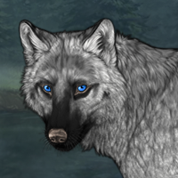 Wolf Headshot