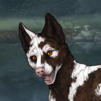 Piebald: Uneven Headshot