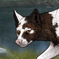 Piebald: Uneven Headshot