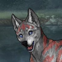 g2 m striped flint husky Headshot