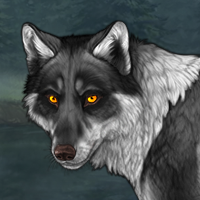 Wolf Headshot