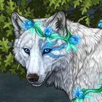 Wolf Headshot