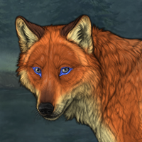 new male foxpup Headshot