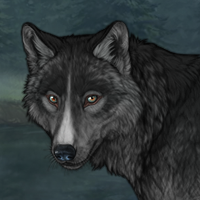 Silverfang Headshot