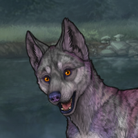 ((Pup))Lilac Breeze Headshot