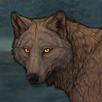 Woodbark Headshot