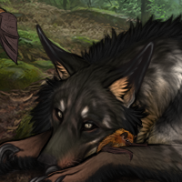 Wolf Headshot