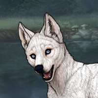 G4 Argent Male / Husky Headshot