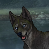 Obsidian 5M Husky Headshot