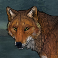 Foxsulfur Headshot