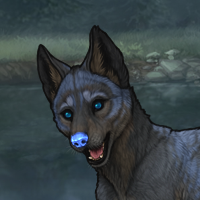 Bluepup Headshot