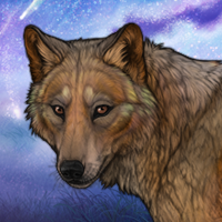 Taildryn Headshot