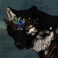 Snowflake Obsidian Headshot