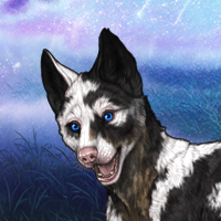 PIEBALD Headshot