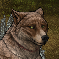 Wolf Headshot