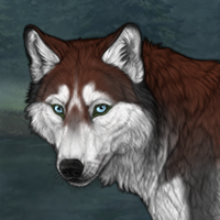 Balto Headshot