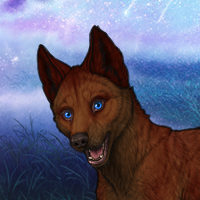 Topaz Runt Puppy Headshot