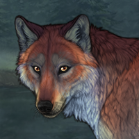 Female fox KEEP Headshot