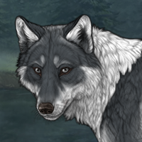 Wolf Headshot