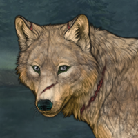 Wolf Headshot