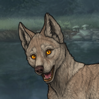 Barkspawn Headshot