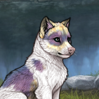 piebald raffle Headshot